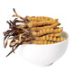 Naqu Hair raide Authentic Wild Tibet Haute à altitude Cordyceps Sinensis Sélection de foin sec Sèche Saison Herbe Saison Dry Goods Dry 2 Racines / G Cordyceps sauvage Sinensis 50g Pack