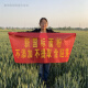 面粉无添加新国标1355-2021 家用中筋小麦自磨农家包子饺子馒头 新国标面粉5斤装
