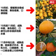 Jingdida Sichuan Ehime No. 38 jelly orange, net weight 9Jin Jin is equal to 0.5kg, gift box with 16 large fruits, straight from the source