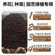 40 Jin Jin is equal to 0.5 kg. Pure sheep manure organic fertilizer for growing vegetables and flowers. Universal fermented chicken manure orchard nutrient soil. 19.9 Jin Jin is equal to 0.5 kg. No root burning, no insects and no smell. Inner Mongolia fermented pure sheep manure. 99 items left in the event.