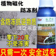 Imported plant antifreeze liquid antifreeze plant antifreeze melons, fruits and vegetable seedlings antifreeze safe winter antifreeze no frost damage antifreeze 500g* bottle cold resistance + fertilizer supplement to increase production