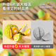 Xinshite (XST) Fruchtschnitt Le schaltbar geschnitten Durian Simulation Küchenspielzeug Dine Cooking Girls Spielzeug Geburtstagsgeschenk