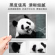 嘉格适用兄弟DCP-9030CDN硒鼓dcp9030cdn粉盒彩色打印机鼓架碳粉墨粉盒 【约9900页】政企版四色套装