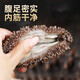 Dongshang Yupin ready-to-eat sea cucumber 1 Jin Jin is equal to 0.5 kg sea cucumber domestic solids 75% fresh 6-9 pieces - straight from the source