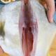 Xiangtai frozen Hainan golden pomfret 700g (2 pieces)