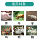 Authentic veterinary mold removal agent for cattle, sheep and pigs, feed additive for chickens, ducks, poultry and geese, bio-type mold removal net for pregnant animals, available for pregnant animals, three-in-one mold removal agent, 2 barrels (10kg)