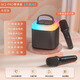 Sony Ericsson (soaiy) SK2pro microphone microphone karaoke microphone audio all-in-one wireless Bluetooth speaker singing special artifact family ktv audio set children's microphone