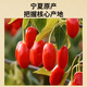 
Tongrentang Brand Beijing Tongrentang Special Glycobberry Ningxia Original 250g Canned No pesticide residues and No smoked sulfur