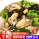 Shuhuang Rushan Oysters Fresh Large Seafood 5Jin Jin is equal to 0.5kg, net weight 4XL (9-13 pieces), only shipped directly from the source, free shipping