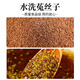 苓仙谷沙苑子正宗中药材菟丝子和沙宛子茶枸杞泡水泡茶的功效 【罐装】沙苑子250g+菟丝子250g