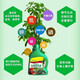 Universal plant concentrated nutrient solution flower fertilizer Universal nutrient solution to promote flowering and growth compound fertilizer 1 bottle (500ml/bottle) trial size