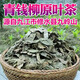 Qingqian Liuyuan Blatt Tee Jiangxi Xiushui Wild Money Willow Natural Qingqian Willow Blatt Chinese Kräutermedizin Gesundheit und Tonic Tea 500 Jahre Qingqian Liuyuan Leaf 1000g Authentische Xiushui Wild Money Willow Leaf Leaf