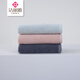 Jieliya xinjiang algodón 5a toalla antibacteriana de toalla de toalla 2 paquetes de toalla de algodón puro color liso color toalla de absorción de agua suave w3291 W3291