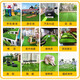 Qingya simulated lawn carpet, fake turf bedding, plastic outdoor artificial court, artificial fence, kindergarten green floor mat, 2cm spring grass upgraded soft wear-resistant grass, hot selling