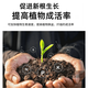 YWZR fully water-soluble compound fertilizer flower fertilizer vegetable agricultural vegetable green planting fruit tree organic fertilizer nitrogen, phosphorus and potassium general chemical fertilizer high-efficiency fertilizer general type 1Jin Jin is equal to 0.5 kg