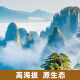 丙田 张家界青钱柳茶250g 高山古树嫩叶 优质干青前柳成叶 金钱柳叶茶