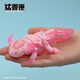 52TOYS 猛兽匣 六角恐龙 蝾螈 娃娃鱼 变形玩具 潮玩模型手办 游星 BB-63C