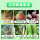 巴斯夫（BASF）德国健达 农药杀菌剂草莓葡萄芒果西瓜黄瓜灰霉白粉病 100ml