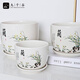 Jiuqiangu Ceramic Flower Pot Орхидея Большой размер 1 упаковка дома зеленые растения зеленые плющ fortune Tree Flower Pot Creative простой китайский стиль 3895