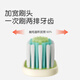 世喜儿童牙刷3-6岁宝宝软毛护齿婴儿凸面宽毛深度清洁窝沟单支装绿色