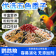 Tianchong Yineng boutique tiger skin peony and black phoenix feed (new food) small and medium-sized parrot bird food five-color millet mixed nutritional food parrot full price mixed nutritional food 1000g