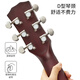Acacia Bird Guitar Folk Guitar 40 Inch Beginners Beginner Guitar Matte Wood Color