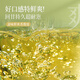 Lancang Ancient Tea Yunnan Pu'er Raw Tea 2024 Jingmai Spring Jingmai Mountain Mingzhou Spring Tea Raw Tea Leaves 200g*1 Cake