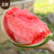 Beishu watermelon seed seedlings rock sugar unicorn 8424 potted watermelon seeds rock sugar unicorn melon seeds about 150 pieces