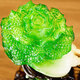 
Tongque Tianjiao Dacai Jinchan Qiang ornaments Xindian Company Office Opening Daji Gift High-end Gift Housewarming Gift Green Jade Color B Style