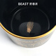THE BEAST star mug hand-painted gold ceramic mug souvenir wedding gift birthday gift