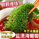 盐渍海葡萄泡发食用 儿童海藻菜海洋蔬菜海草 海葡萄100g*5袋【送芥末酱油】