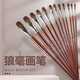 Brush, gouache brush, round head oil brush flat head set, watercolor acrylic water chalk, special for art students, 6 pieces [13579 11]+ ​​line pen box