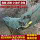 Jingpin fish and shrimp net cage, ground net cage, lobster net, ground dragon fish net cage, fishing net, fishing net cage, shrimp cage, eel cage, turtle cage, large frame 10 meters, 33 sections, 20 doors + gifts (issued today)