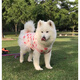 宠物大狗衣服中大型犬透气防掉毛防晒网纱萨摩金毛夏季薄款背心裙 粉色彩虹(不退不换) 110码(胸围9756-70斤左右)