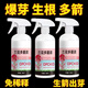 Orchid multi-flare, orchid special lazy nutrient solution to promote flowering, delay the flowering period and treat yellow leaves, general-purpose liquid fertilizer, orchid multi-flare, 300ML*1 bottle