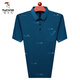 Woodpecker (TUCANO) 2025 summer short-sleeved T-shirt for men in summer lapel with pocket middle-aged and elderly ice silk POLO. Shirt daddy suit 753 tic toe [blue] [short] 4XL 190/A Recommended 180-200Jin [Jin equals 0.5 kg]