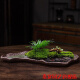LZJV苔藓吸水石盆器盆景盆长方形菖蒲假山上水石水培紫砂陶瓷底盘盆 盆景盆2677 陶瓷_大