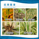 Lvheng No. 6 50% chlorobromoisocyanuric acid cucumber soft rot downy mildew bacterial blight wildfire fungicide pesticide 20g