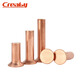 
CREABY copper countersunk head solid rivet GB869 knock-on flat cone head solid stud copper and roudine fasteners M2x6[100 pieces]