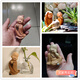 Qia Shuo creative antique little monk ornaments Buddhist Zen home living room tea table character doll bonsai landscaping decoration Suiyuan 17ABC three styles about 8.0CM high
