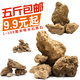SHXI natural water-absorbing stone raw stone water stone wool gravel stone rockery bonsai micro landscape landscaping small ornaments with stone absorbent stone raw stone 20-25cm10Jin Jin is equal to 0.5 kg