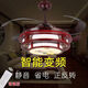 Sanqihu fan lamp Zhongshan lamp Guangdong Chinese style ceiling lamp Chinese style ceiling fan lamp invisible fan lamp bedroom electric wind Chinese style classic classic elegant residence 6636 classic 42-inch frequency conversion dual control