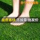 Fake lawn simulated artificial turf plastic green carpet rooftop balcony roof sun room villa courtyard outdoor 2.5 cm thickened extra dense spring grass 3 meters wide 1 meter long manual cutting