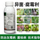 40% iprodione procymidone fruit tree vegetables tomato pepper citrus grape strawberry gray mold pesticide fungicide 500g