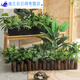 Simulation Grüne Pflanze Set Simuliertes Blütenpartition Pflanzendekoration Ornament Blütenrille Schildkröte Rückenblatt Blumenbox gefälschte Blumenlandschaft E3895x20cm Bunt