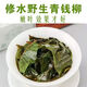 
Milu Qingqian Liuyuan Leaf Tea Jinqian Liu tea sugar-free health tea Jiangxi Xiushuiyuan Ecological Ancient Tree Health Tea Qingqian Liuyuan Leaf 500g