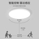 Fanyao infrared human body sensor lamp ultra-thin three-proof ceiling-mounted lamp stair aisle corridor corridor light smart lamp 48W-human body sensor