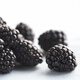 Driscoll s Blackberry 125g