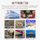 Wenno非洲仿真动物模型儿童动物玩具男孩过家家玩具六一儿童节礼物女孩 长颈鹿A（Giraffe）
