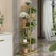 Solno Flower Stand de múltiples capas plegables Balcón de interior de la casa del hogar decorativo Sala de estar de hierro forjado Patio Simple Back Suculento H917 (versión de actualización de 7 macetas)